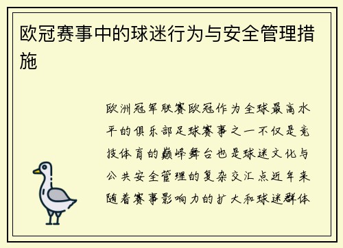 欧冠赛事中的球迷行为与安全管理措施