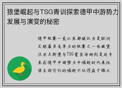 狼堡崛起与TSG青训探索德甲中游势力发展与演变的秘密
